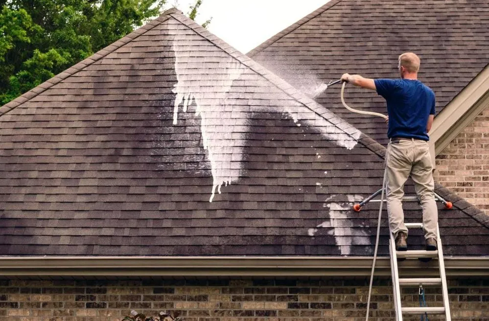 Keep your Roof Clean
